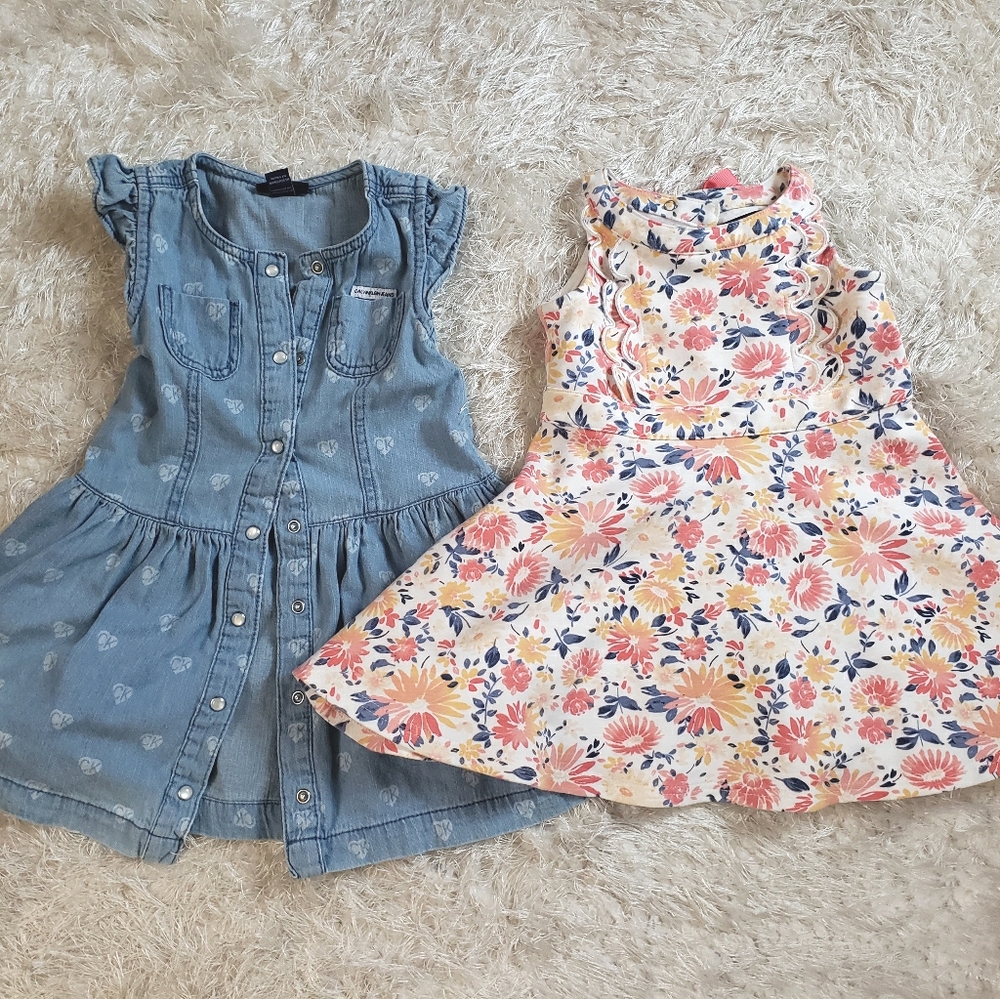 EUC Designer Toddler Dresses, Size 3T